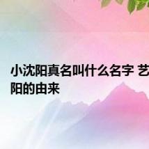 小沈阳真名叫什么名字 艺名小沈阳的由来
