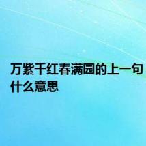 万紫千红春满园的上一句 这句话什么意思