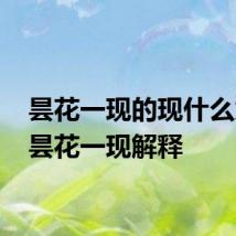 昙花一现的现什么意思 昙花一现解释