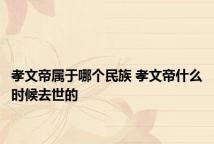 孝文帝属于哪个民族 孝文帝什么时候去世的