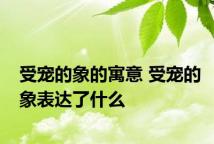受宠的象的寓意 受宠的象表达了什么
