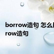 borrow造句 怎么用borrow造句