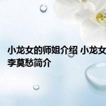 小龙女的师姐介绍 小龙女的师姐李莫愁简介