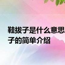 鞋拔子是什么意思 鞋拔子的简单介绍