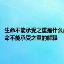 生命不能承受之重是什么意思 生命不能承受之重的解释