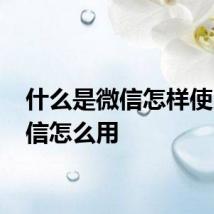 什么是微信怎样使用 微信怎么用