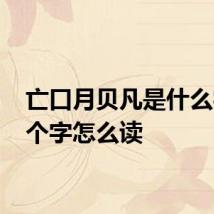 亡口月贝凡是什么字 这个字怎么读