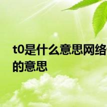 t0是什么意思网络语 t0的意思