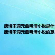 唐诗宋词元曲明清小说是什么意思 唐诗宋词元曲明清小说的意思
