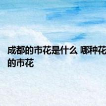 成都的市花是什么 哪种花是成都的市花