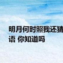 明月何时照我还猜一成语 你知道吗