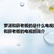 罗湛和薛老板的是什么电视剧 罗湛和薛老板的电视剧简介