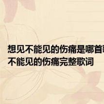 想见不能见的伤痛是哪首歌 想见不能见的伤痛完整歌词