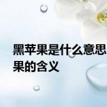 黑苹果是什么意思 黑苹果的含义
