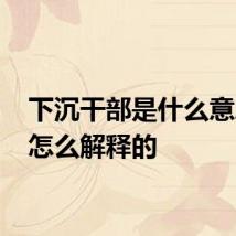 下沉干部是什么意思 是怎么解释的