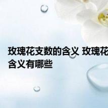 玫瑰花支数的含义 玫瑰花支数的含义有哪些