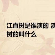 江直树是谁演的 演江直树的叫什么