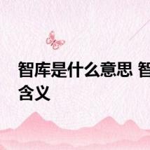 智库是什么意思 智库的含义