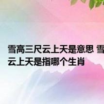 雪高三尺云上天是意思 雪高三尺云上天是指哪个生肖