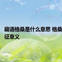 藏语格桑是什么意思 格桑花的象征意义