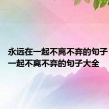 永远在一起不离不弃的句子 永远在一起不离不弃的句子大全