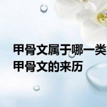甲骨文属于哪一类文字 甲骨文的来历