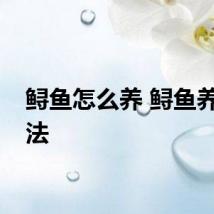 鲟鱼怎么养 鲟鱼养殖方法