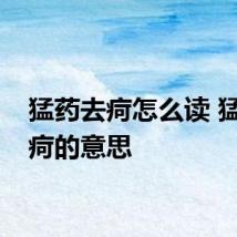 猛药去疴怎么读 猛药去疴的意思