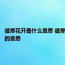 彼岸花开是什么意思 彼岸花代表的意思