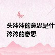 头涔涔的意思是什么 头涔涔的意思