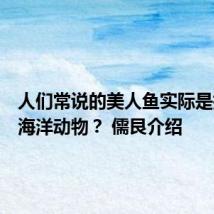 人们常说的美人鱼实际是指哪种海洋动物? 儒艮介绍