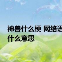 神兽什么梗 网络语神兽什么意思