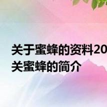 关于蜜蜂的资料20字 有关蜜蜂的简介