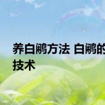 养白鹇方法 白鹇的养殖技术