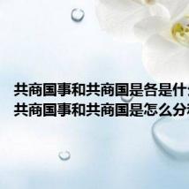 共商国事和共商国是各是什么意思 共商国事和共商国是怎么分和理解