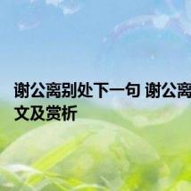 谢公离别处下一句 谢公离别处原文及赏析