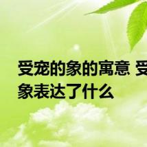受宠的象的寓意 受宠的象表达了什么