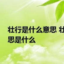 壮行是什么意思 壮行意思是什么