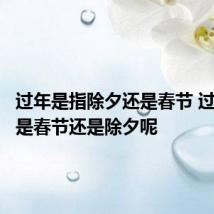 过年是指除夕还是春节 过年指的是春节还是除夕呢