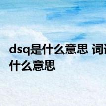 dsq是什么意思 词语dsq什么意思