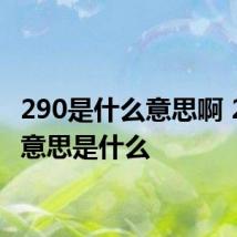 290是什么意思啊 290的意思是什么