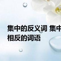 集中的反义词 集中意思相反的词语