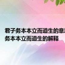 君子务本本立而道生的意思 君子务本本立而道生的解释
