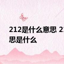 212是什么意思 212意思是什么