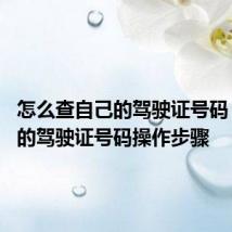 怎么查自己的驾驶证号码 查自己的驾驶证号码操作步骤