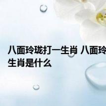 八面玲珑打一生肖 八面玲珑打一生肖是什么