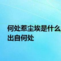 何处惹尘埃是什么意思 出自何处