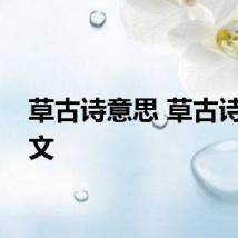 草古诗意思 草古诗的全文
