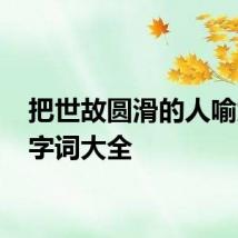把世故圆滑的人喻为 三字词大全