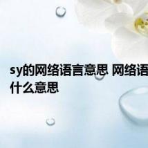 sy的网络语言意思 网络语言sy是什么意思